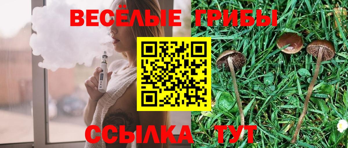 Галлюциногенные грибы Psilocybine cubensis  Вход с VPN  Псилоцибиновые грибы Psilocybe  Нягань 